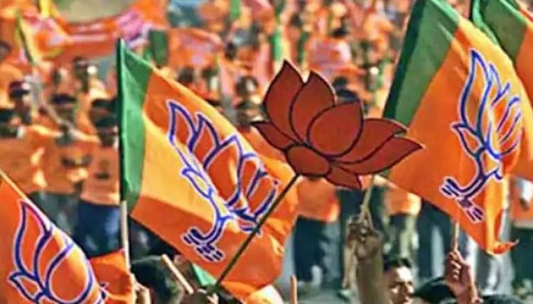 MP Election: BJP ने जारी की स्टार प्रचारकों की लिस्ट, जानें PM मोदी के अलावा किसना नाम!