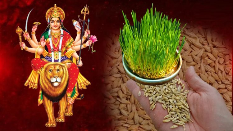 Navratri 2024: नवरात्रि के पहले दिन जौ क्यों बोए जाते हैं? जानिए इसका क्या है धार्मिक महत्व